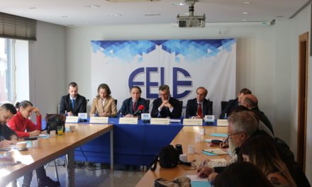 Fele demanda discriminación positiva en inversiones y fiscalidad para hacer de León una provincia de futuro